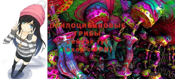 индика Карпинск