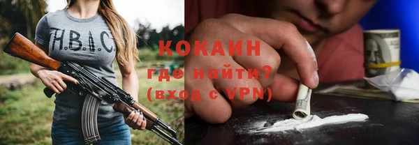 индика Карпинск