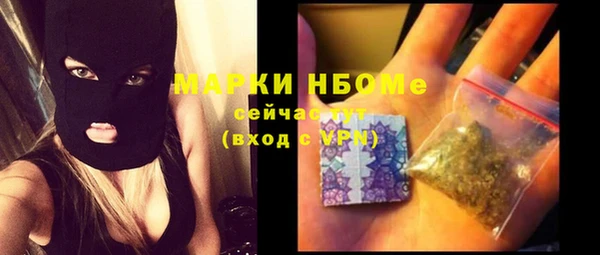 индика Карпинск