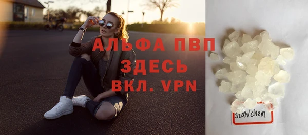 индика Карпинск