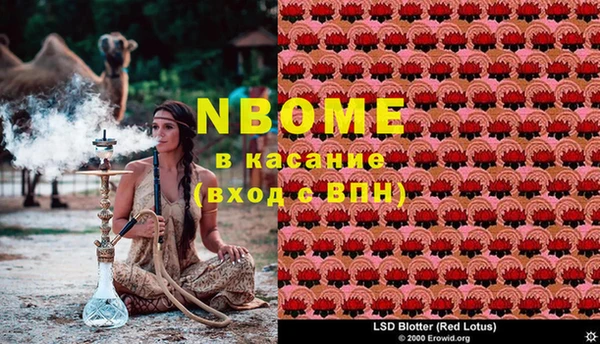 стафф Киреевск