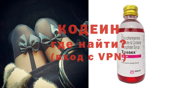 индика Карпинск