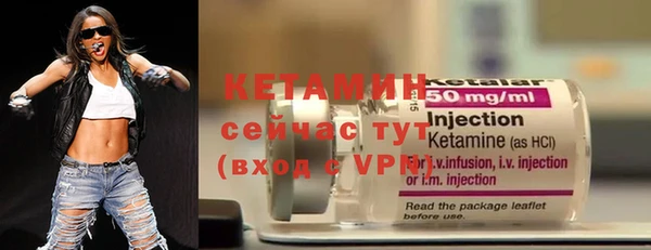 индика Карпинск