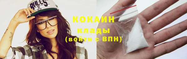 индика Карпинск