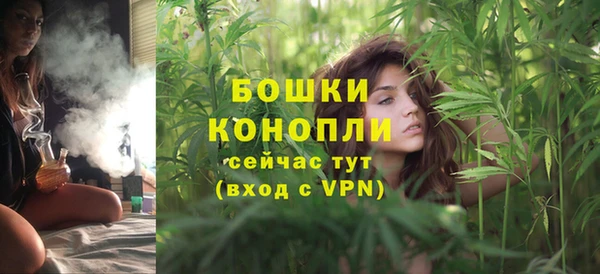индика Карпинск