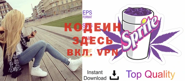 индика Карпинск