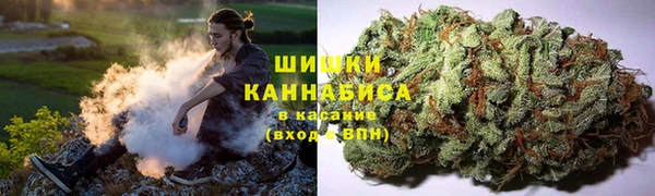 индика Карпинск
