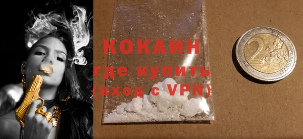 индика Карпинск