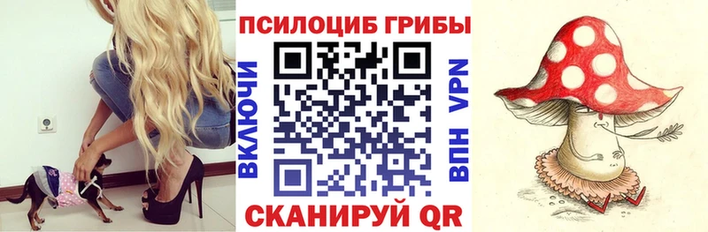 Псилоцибиновые грибы ЛСД  Купить  Плавск 